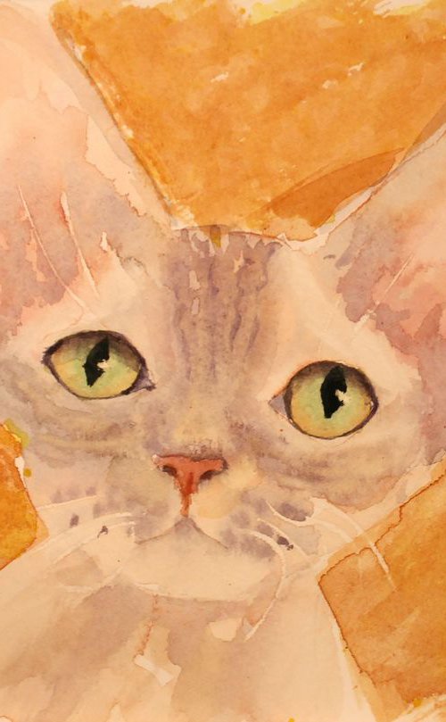 CAT PORTRAIT VI  /   Devon Rex  /  ORIGINAL PAINTING by Salana Art