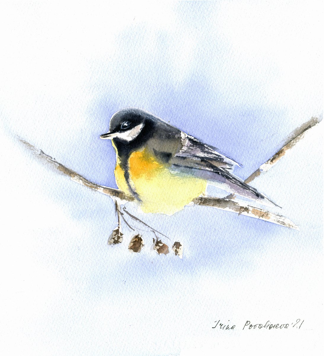 Titmouse on branch original watercolor painting , bird artwork , bird on branch blue sky... by Irina Povaliaeva