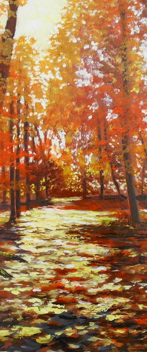 Autumn River of Light by Rod Bere