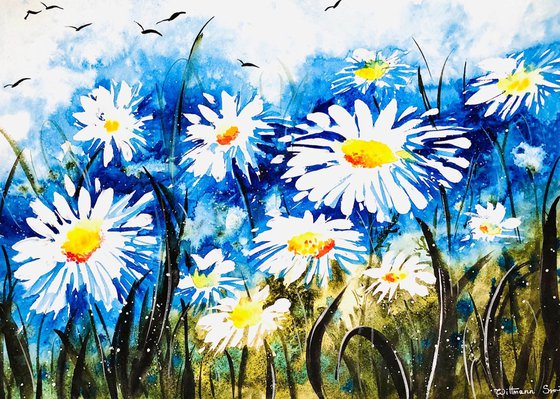 Daisy Flowers