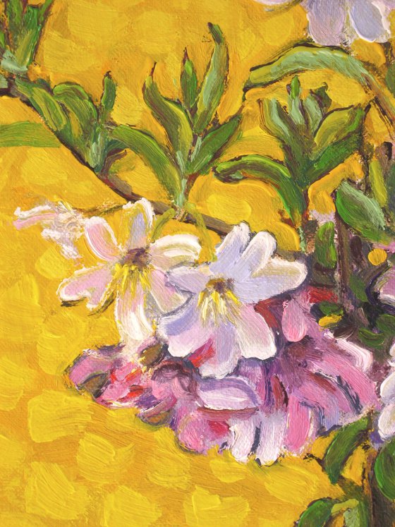 Flowering Cherry Sprays