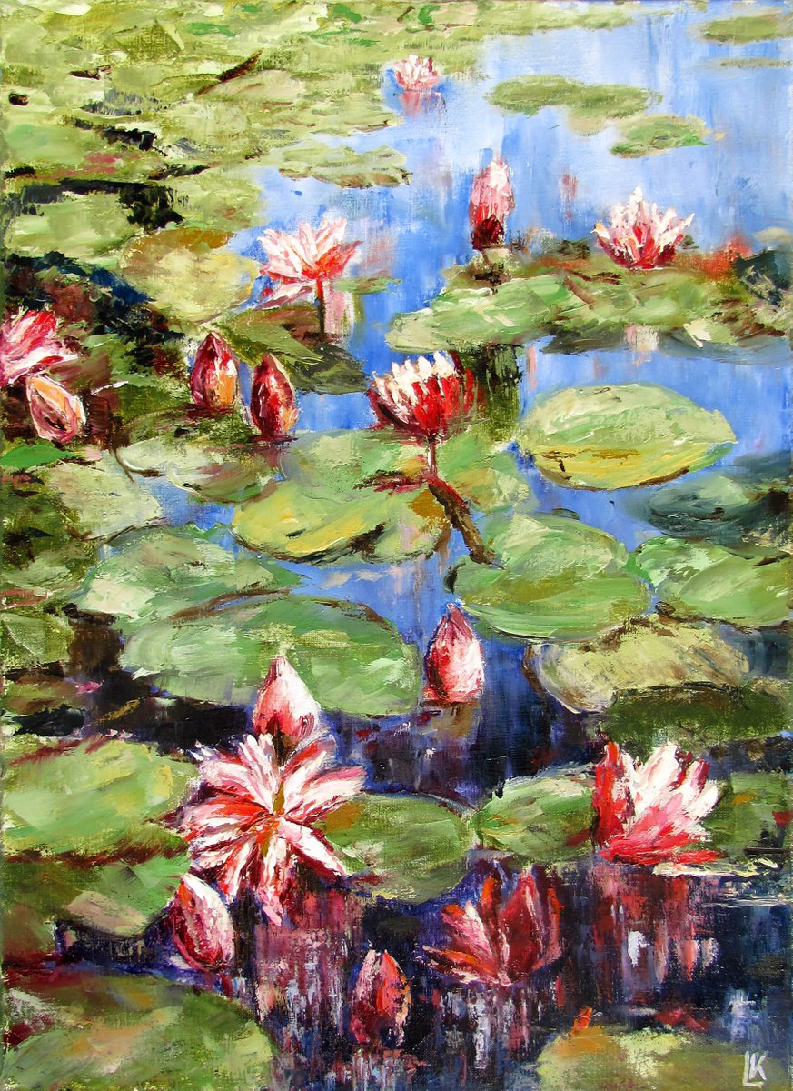 Water lilies pond