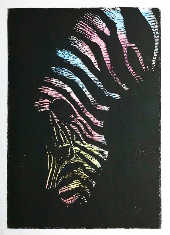 Coloured Zebra