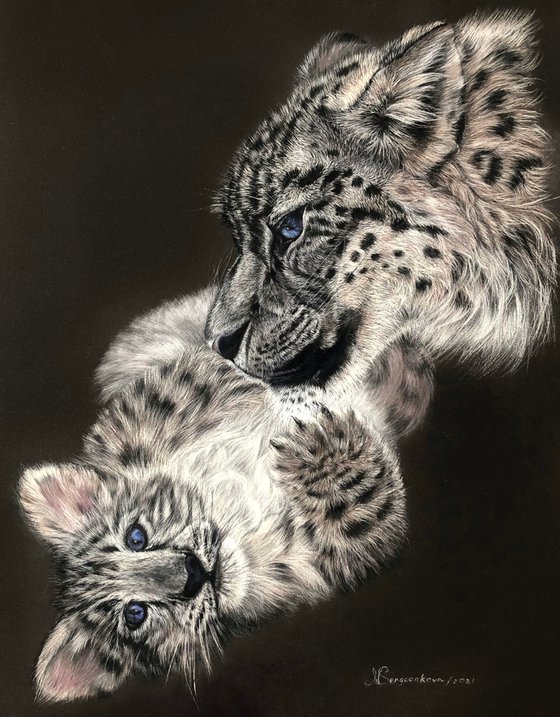 Snow Leopards