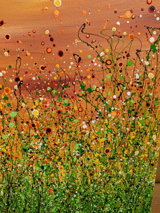 Popping Sunrise Meadows