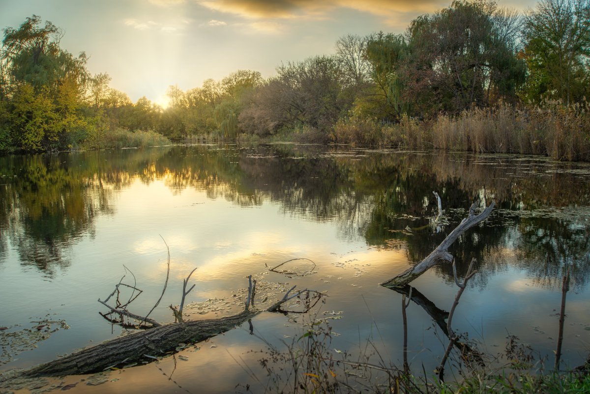 Old pond by Vlad Durniev