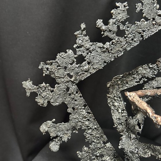 The Squares of the Secret