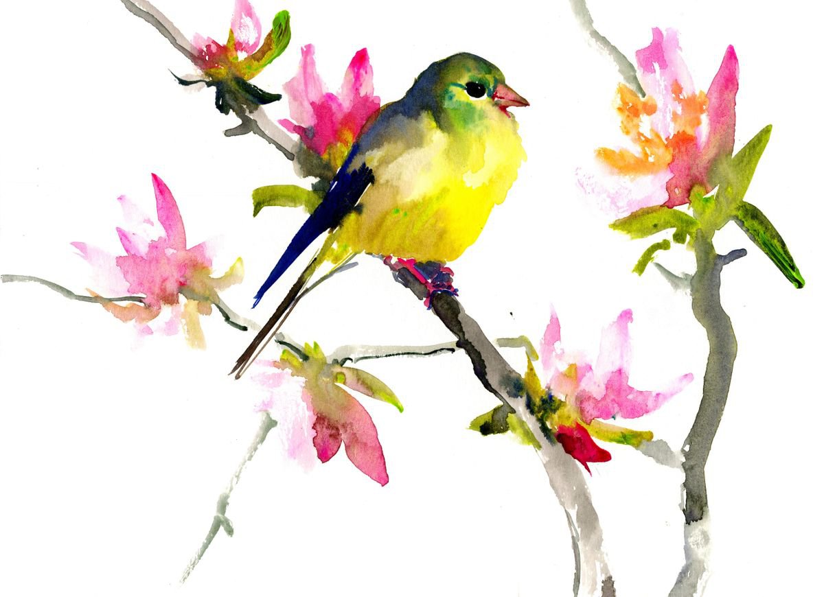 American Goldfinch and Spring Blossom by Suren Nersisyan