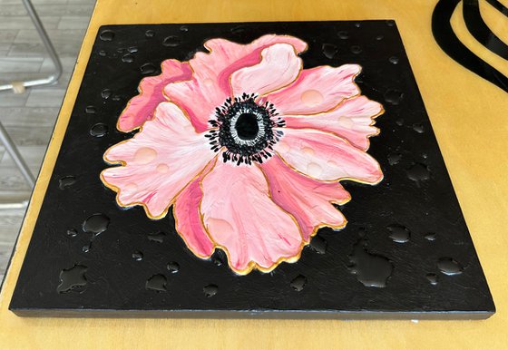 Anemone