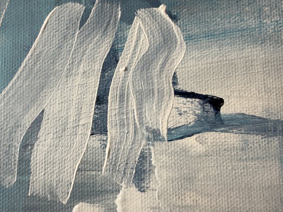 The Secret Life Below