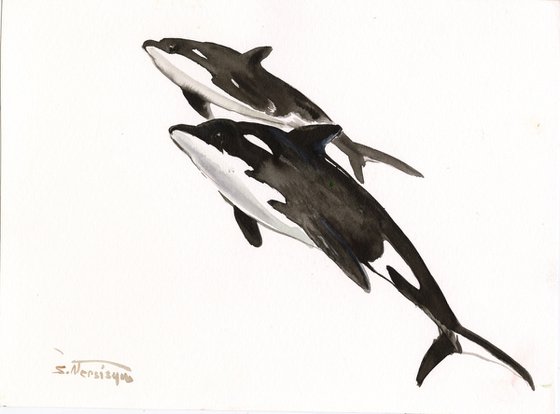 Orca