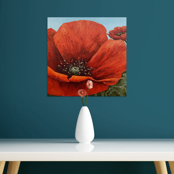 Poppies