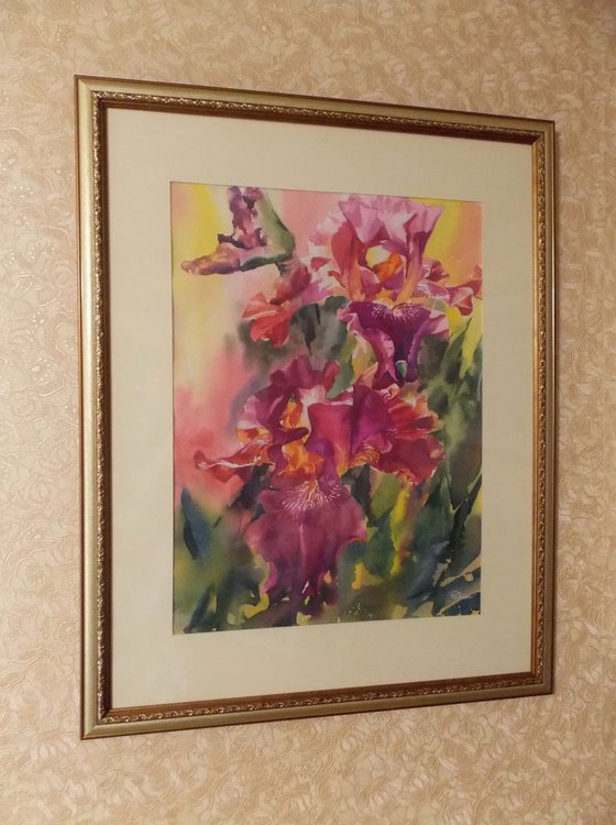Red Irises