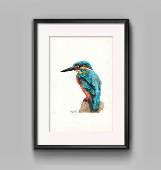 Kingfisher/Bird Series