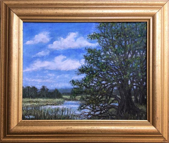 MARSH OAKS - oil 8X10