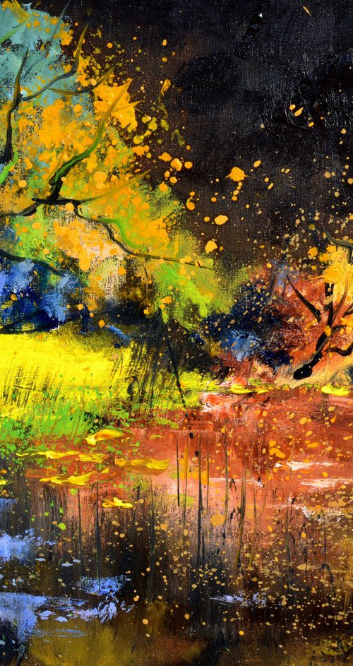 Quiet waters 5422 by Pol Henry Ledent