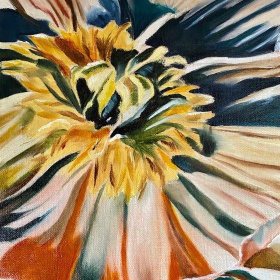 Peach Fuzz Poppies
