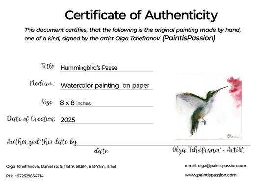 Hummingbird’s Pause