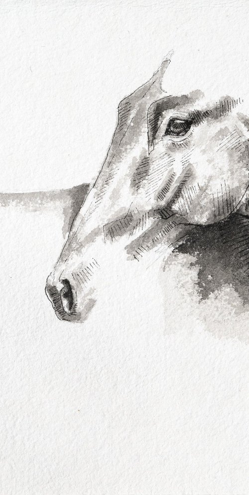 Equine Nude 300 by Benedicte Gele