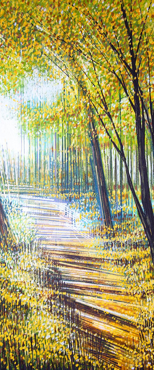 Light Through Autumn Trees by Marc Todd