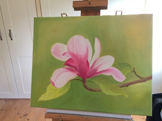 Magnolia