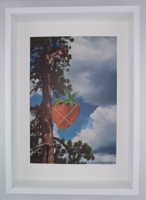 Strawberry Picker