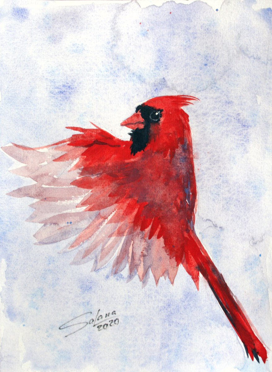Cardinal III - Bird portrait /  ORIGINAL PAINTING by Salana Art Gallery