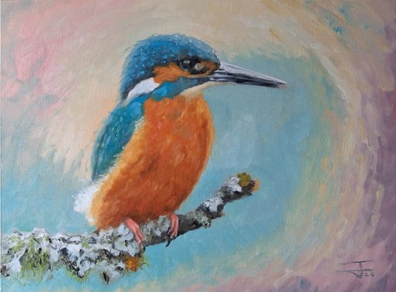 Kingfisher on the lichen