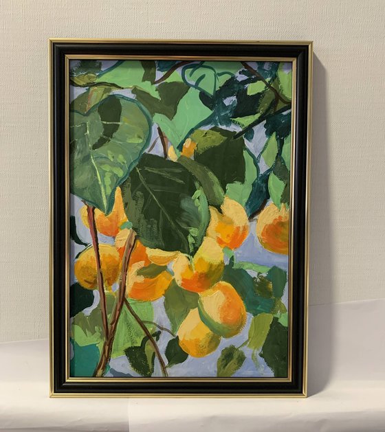 Apricot garden.