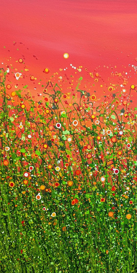 Popping Red Sky Meadows #2