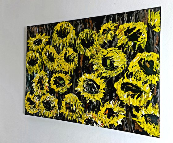 Sunflower field