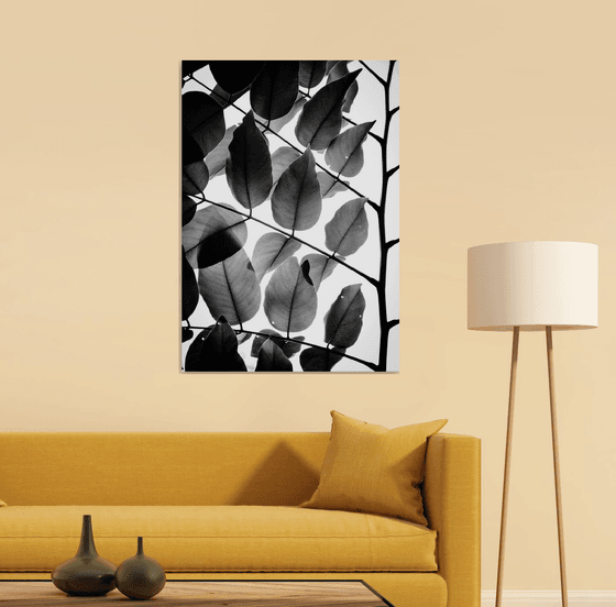 Branches and Leaves II | Limited Edition Fine Art Print 1 of 10 | 60 x 90 cm