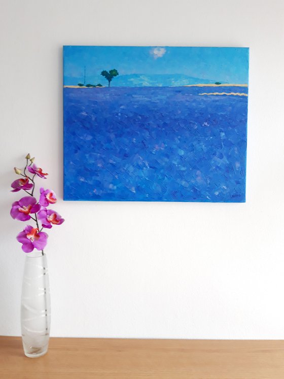 Abstract lavender field