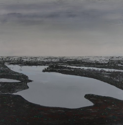 Endless Swamps by Serguei Borodouline