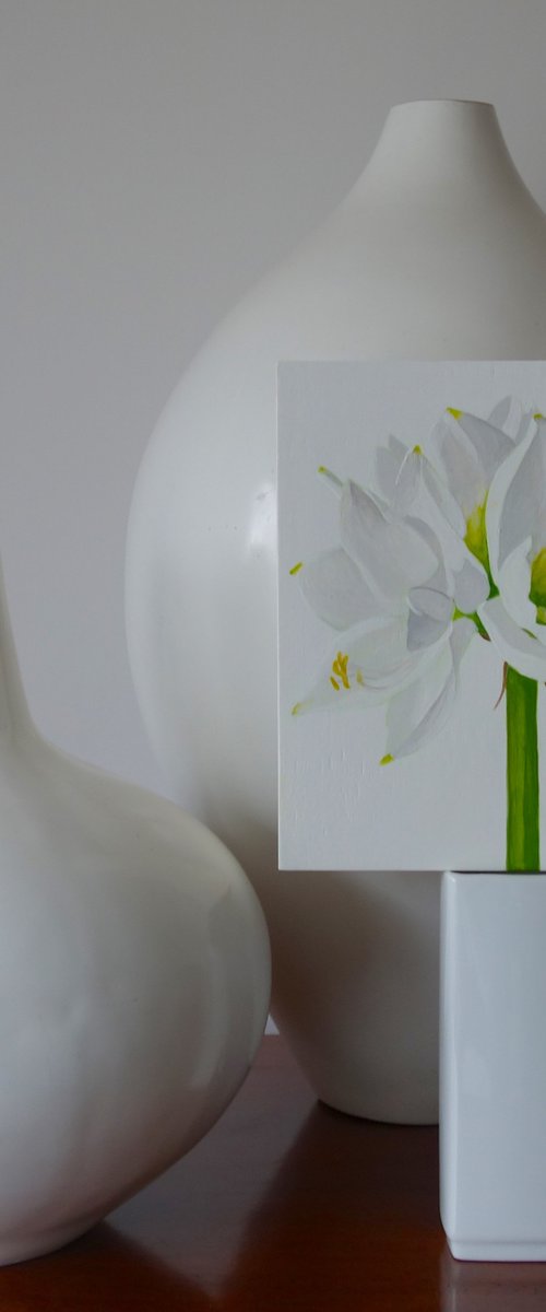 White Amaryllis by Susan Porter
