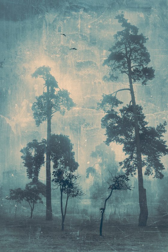 High above the trees.