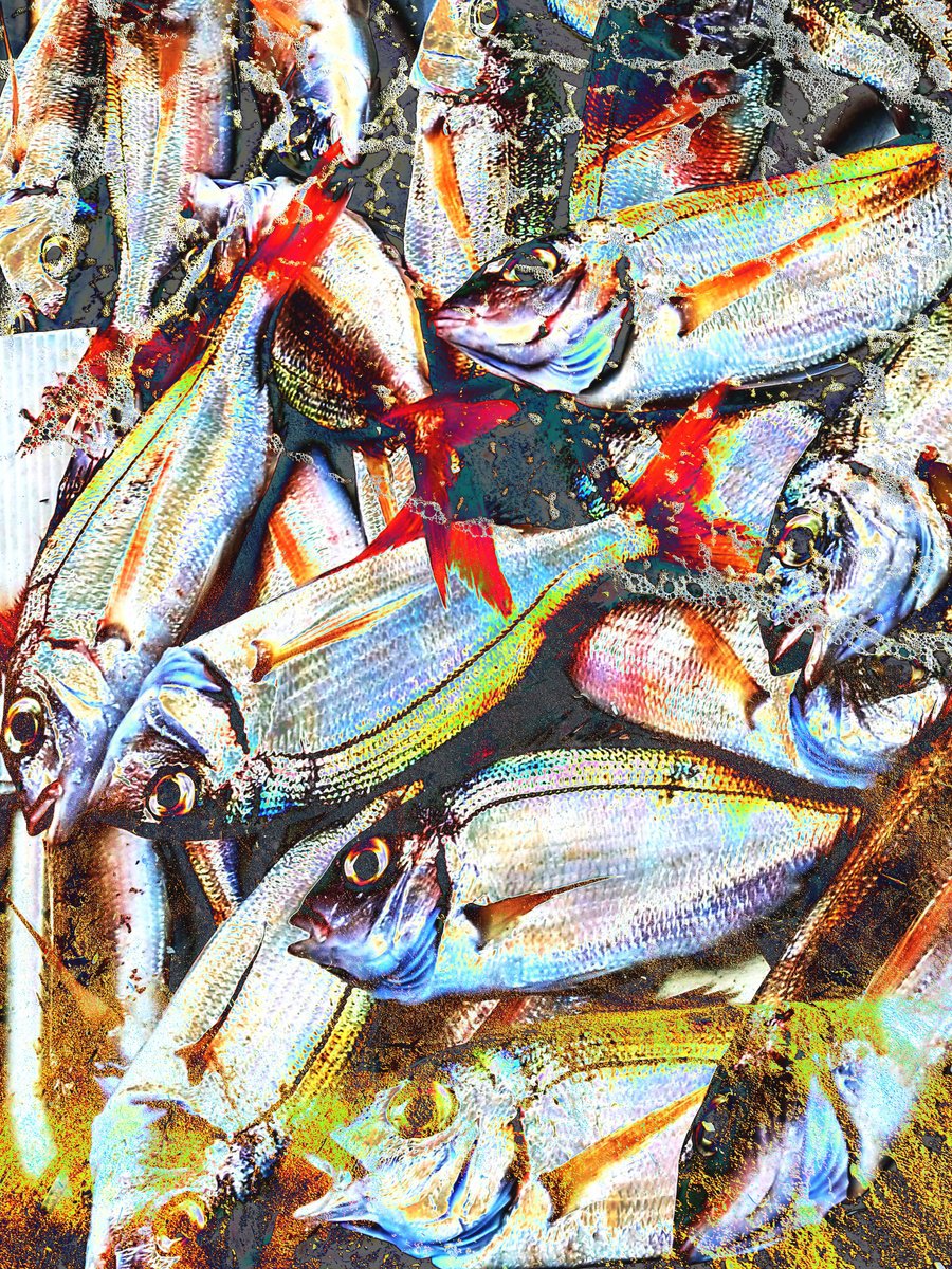 Impressionistic Abstract Giclee Print By Yuliia Sharapova, 17 X 22", Photo Collage Fish Sea Sand, Original Artwork