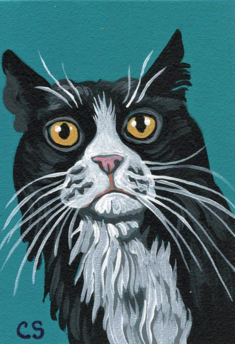 ACEO ATC Original Miniature Painting Tuxedo Pet Cat Art-Carla Smale by carla smale
