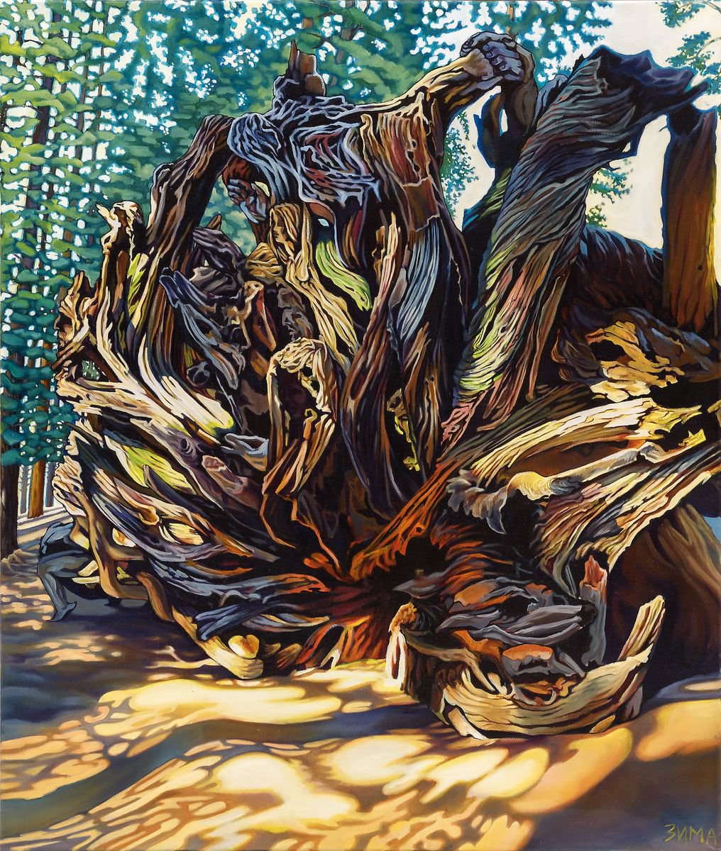 Sequoia dreams by Elena Zima