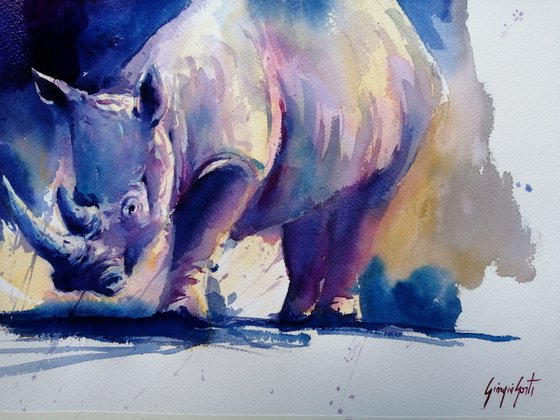 rhinos 6