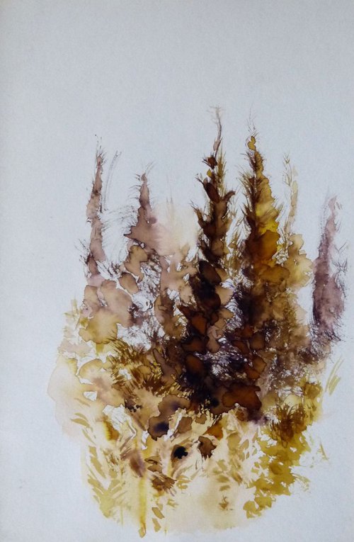 Pine Wood Study 1, 24x16 cm by Frederic Belaubre