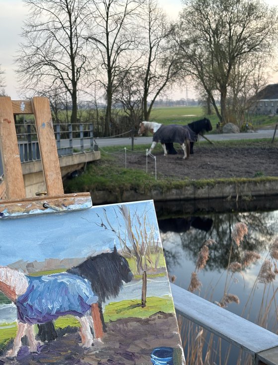 Grazing Horses in the Dutch Countryside