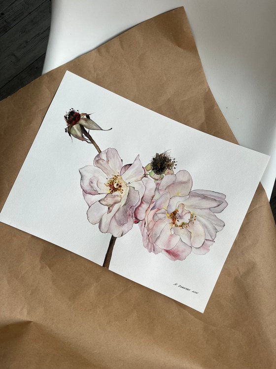 Duo roses pastel