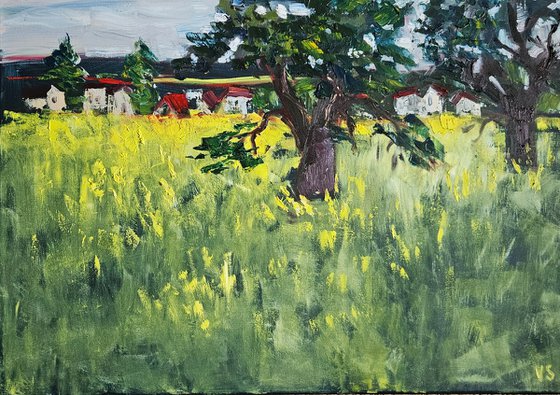 The last blossoms of the rapeseed field
