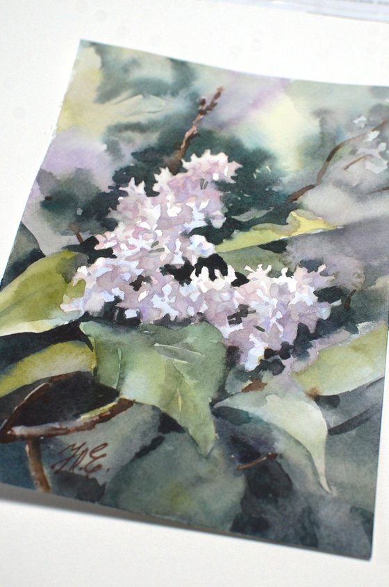 White lilac flowers