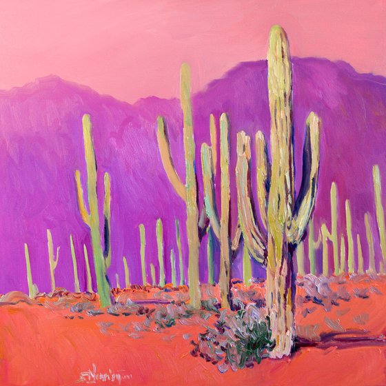 Saguaros. Desert Evening