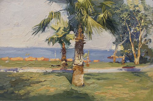 Lycian palms by Simon Kozhin