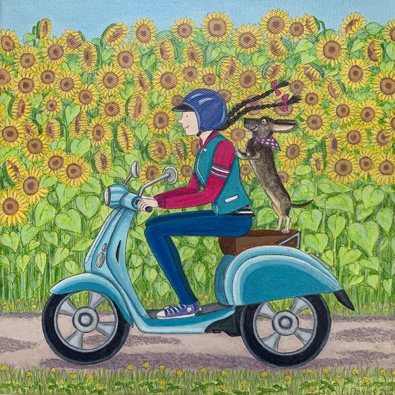 A ride through the sunflower fields with Monty