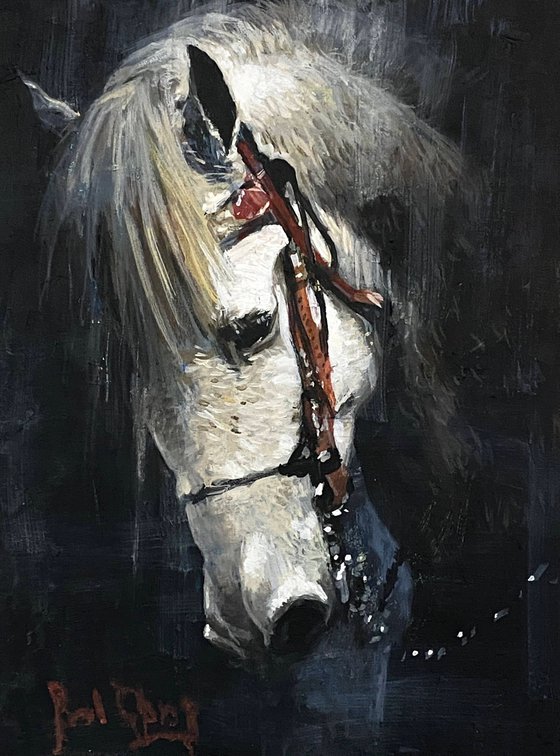 Pensive Stallion