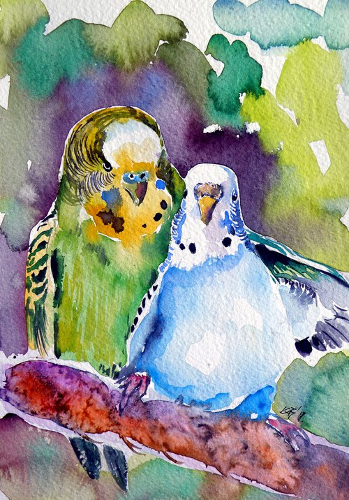 Cute parrots by Kovács Anna Brigitta